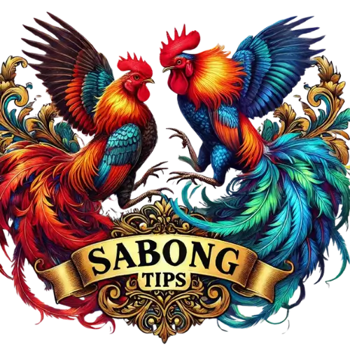 sabong